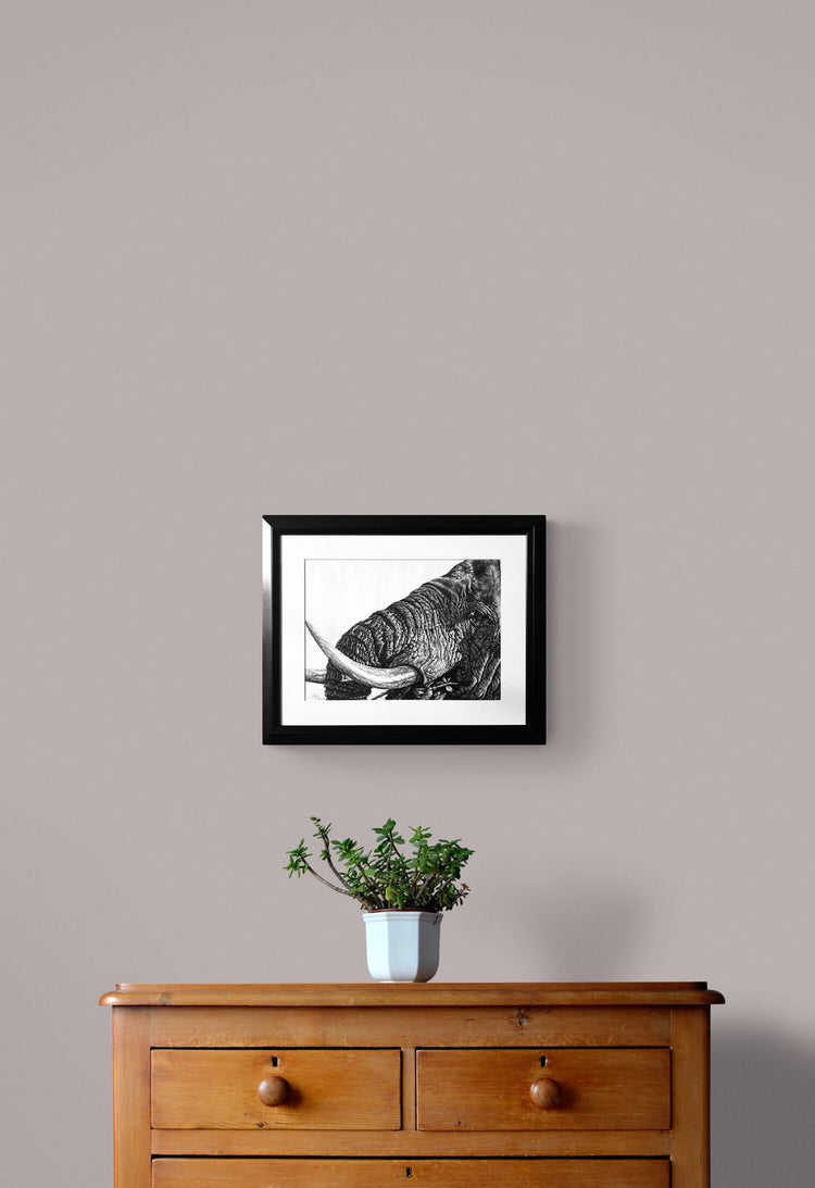 CLOSE UP - Niki Saunders (Framed)