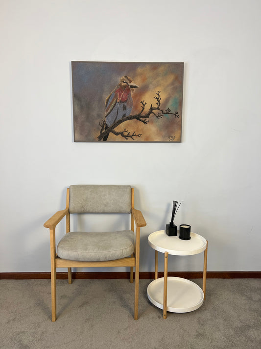 BROWN HOODED KINGFISHER - Gert Bezuidenhout