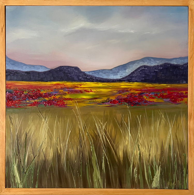 NAMAQUA IN BLOOM  (framed) - Michelle Henn