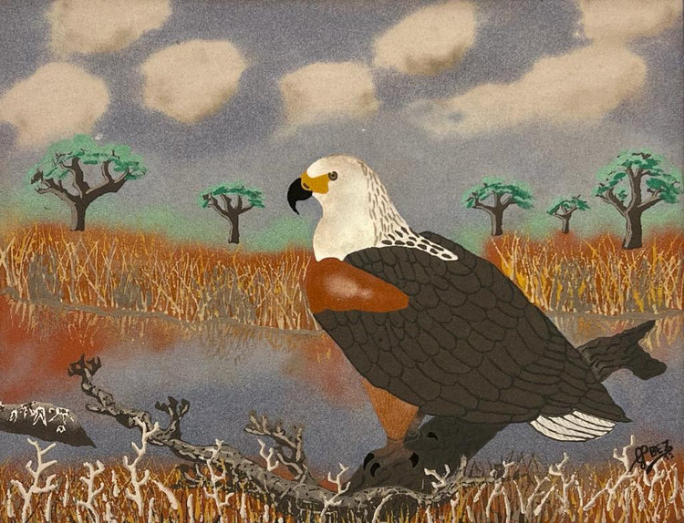 FISH EAGLE - Gert Bezuidenhout