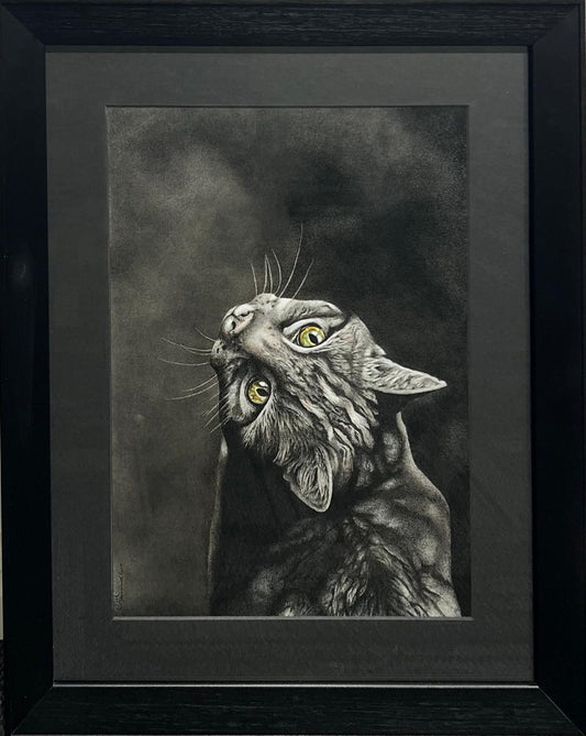 AFRICAN WILDCAT - Niki Saunders (Framed)