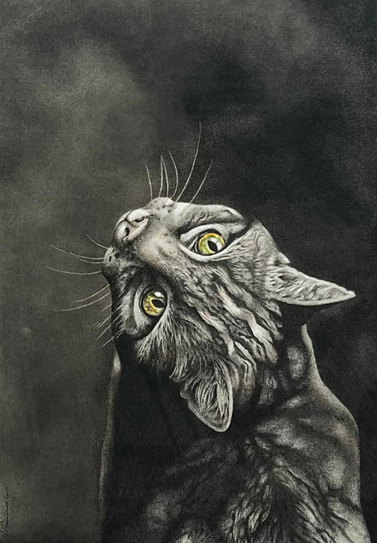 AFRICAN WILDCAT - Niki Saunders (Framed)