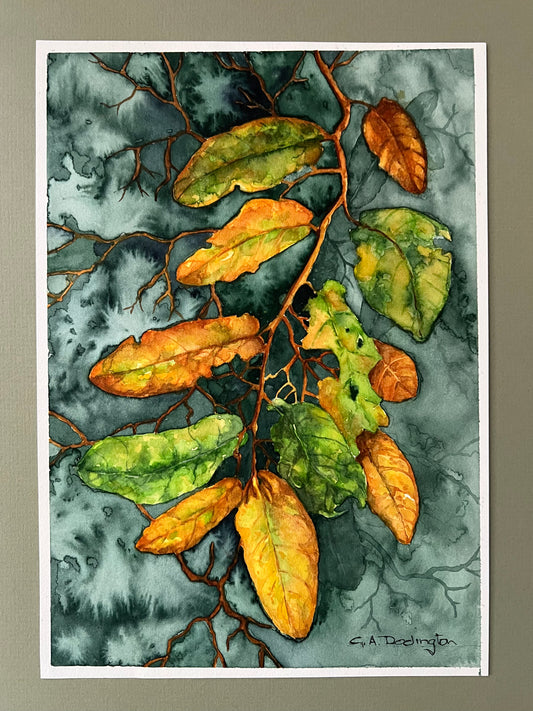 TURNING LEAVES  - Gill Dodington