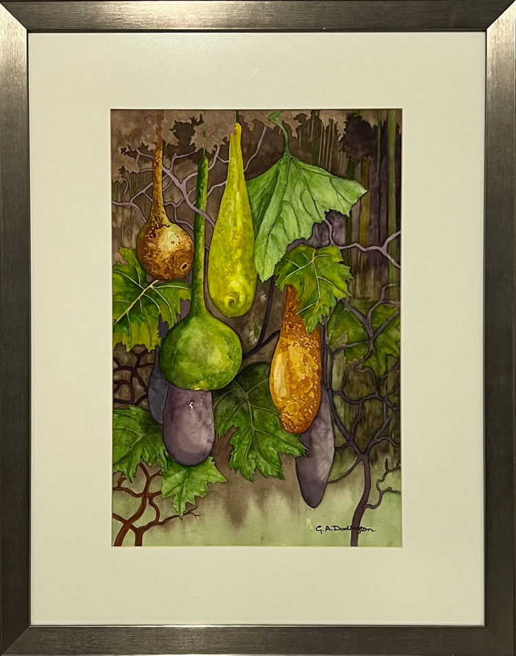 COLOURFUL CALABASHES (Framed) - Gill Dodington