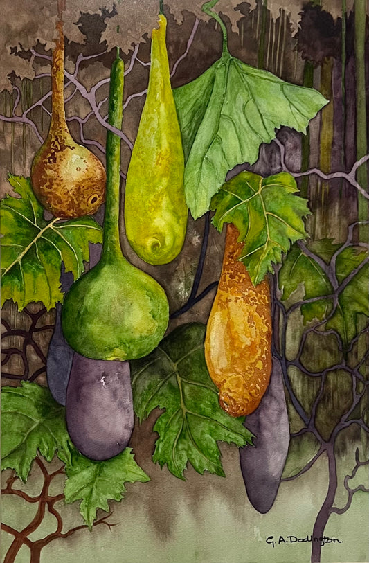 COLOURFUL CALABASHES (Framed) - Gill Dodington